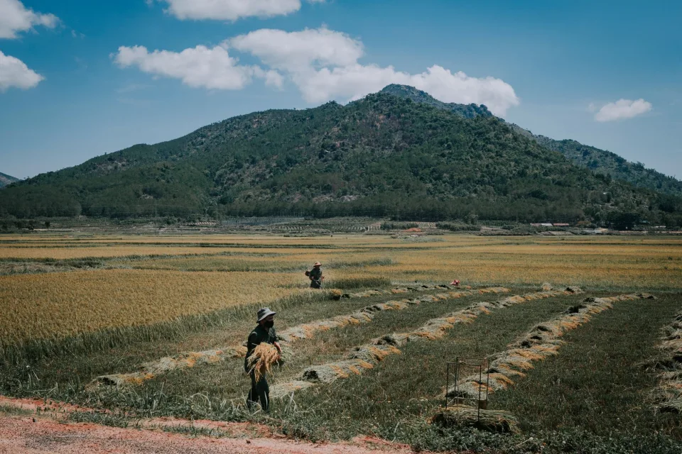 Kho gạo của Chè Thành Đạt